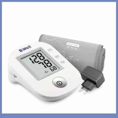 B.Well PRO-33