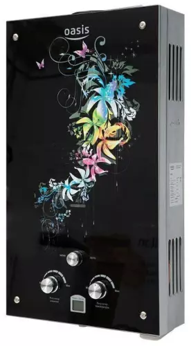 Oasis Glass 20RG